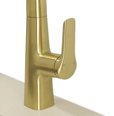 Pull - down Dual Spray Kitchen Faucet - N23128 - FaucetMatte Black NeoNova Decor