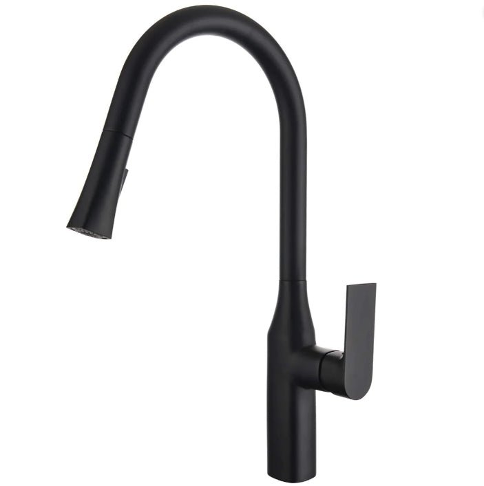 Pull - down Dual Spray Kitchen Faucet - N23134 - FaucetMatte Black NeoNova Decor