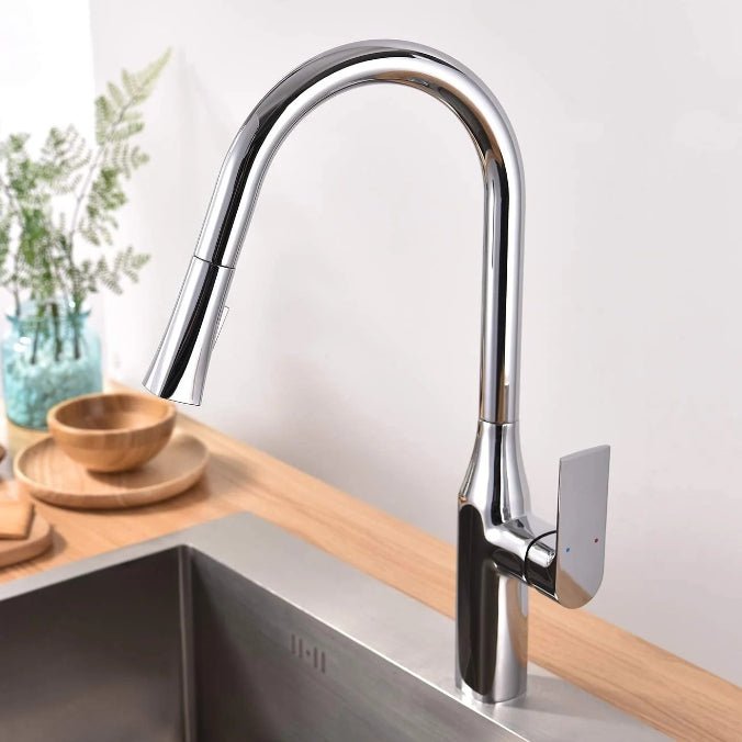 Pull - down Dual Spray Kitchen Faucet - N23134 - FaucetPolished Chrome NeoNova Decor