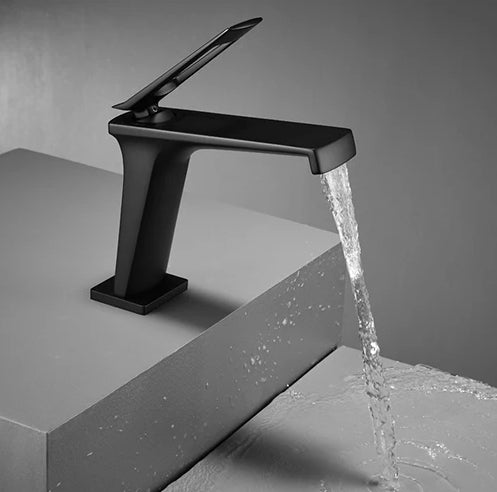 Single Hole Bathroom Faucet - N11171 - FaucetPolished Chrome NeoNova Decor