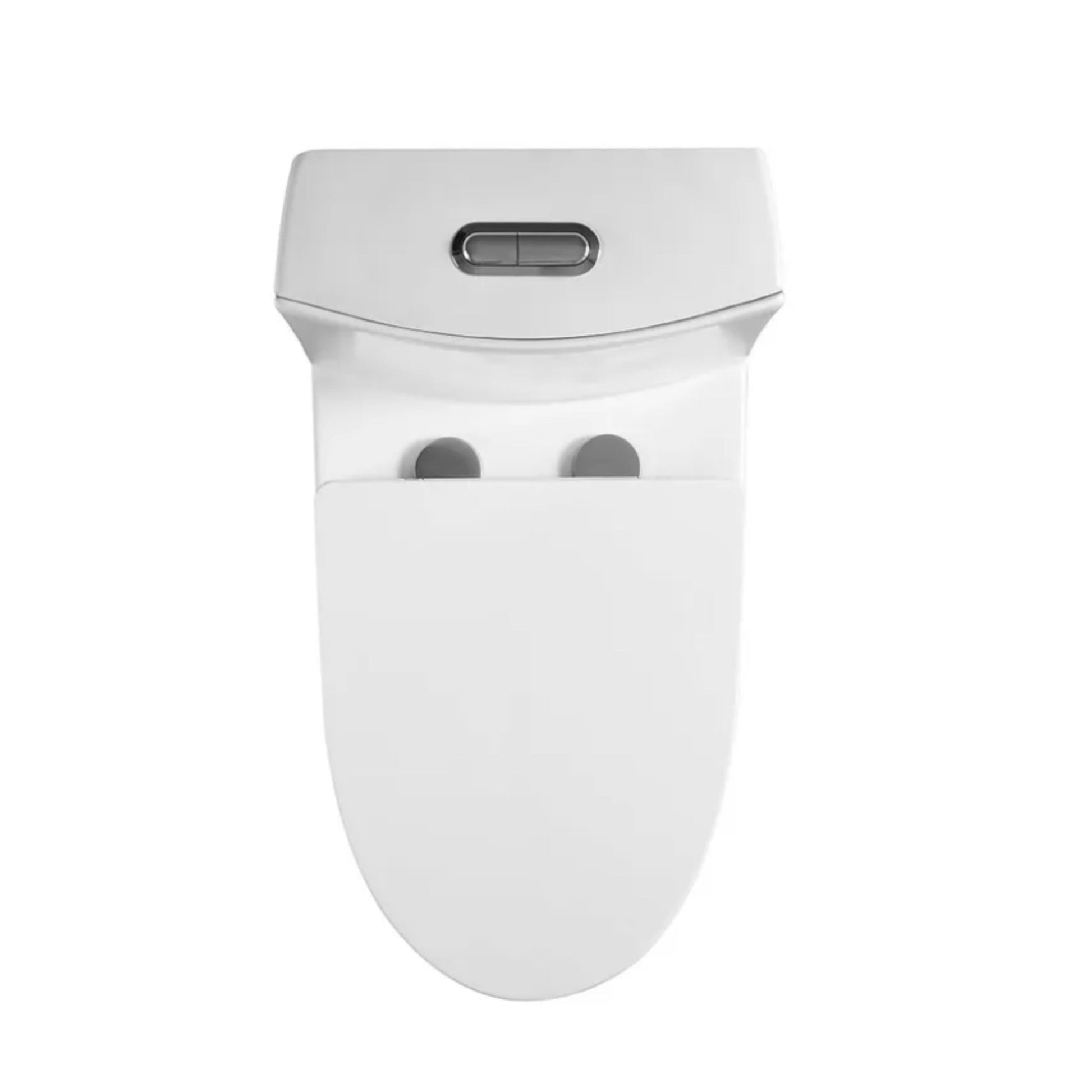 Siphonic One - Piece Toilet with Dual - Flush, North American Standard - toilet NeoNova Decor
