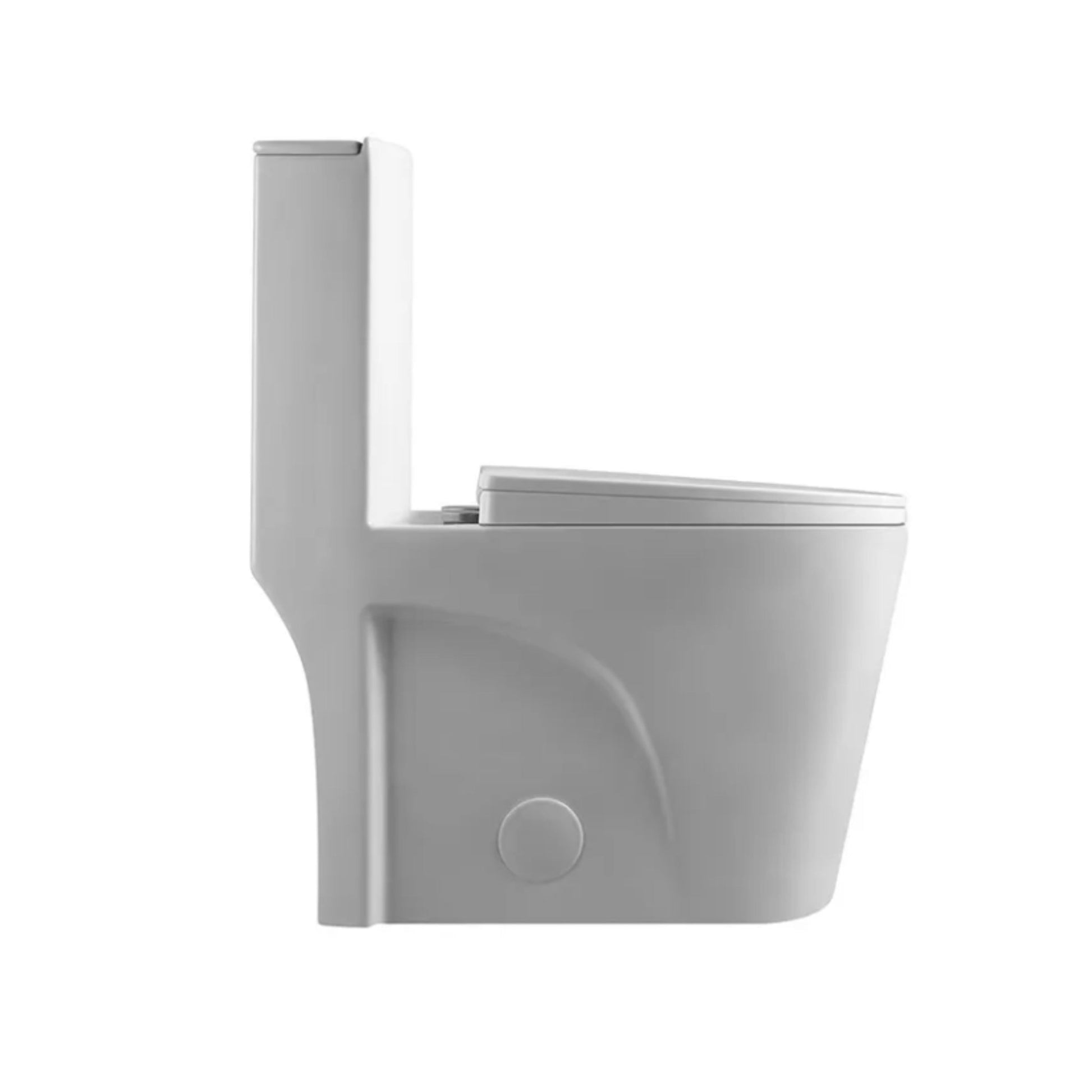 Siphonic One - Piece Toilet with Dual - Flush, North American Standard - toilet NeoNova Decor