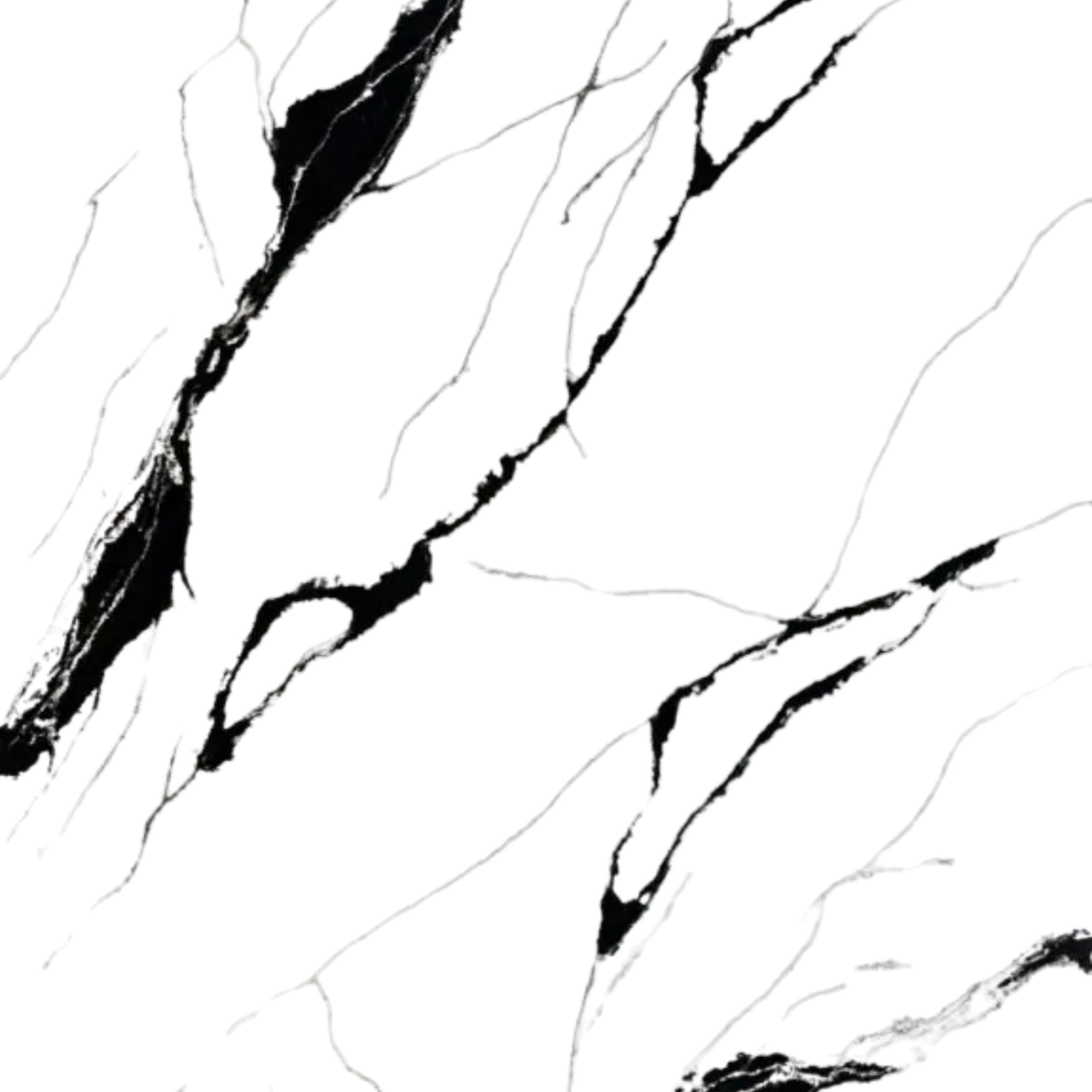 Calacatta Black