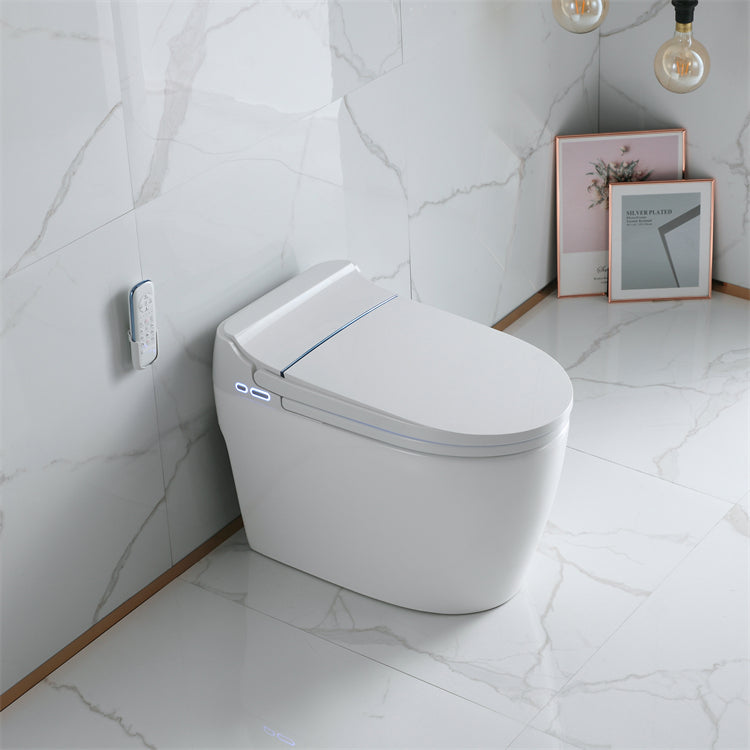 2209C One-Piece Smart Toilet with Bidet, Warm Air Dryer, and Self-Cleaning Nozzle