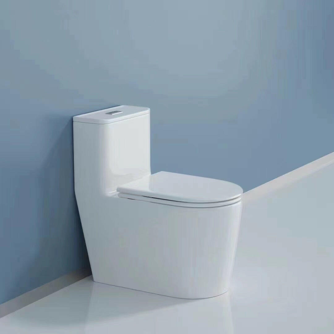2184 Dual-Flush Siphonic One-Piece Toilet with HTD Flush and Soft Close Seat, CUPC Certified.