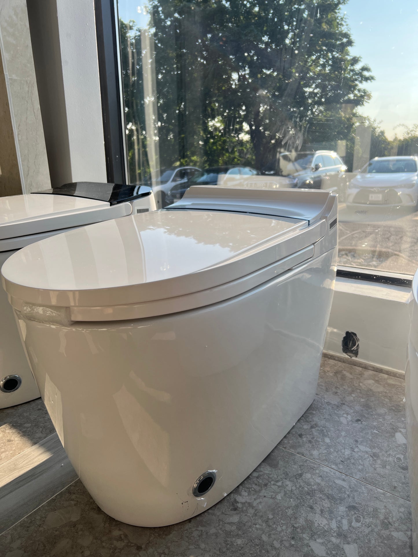 2209C One-Piece Smart Toilet with Bidet, Warm Air Dryer, and Self-Cleaning Nozzle