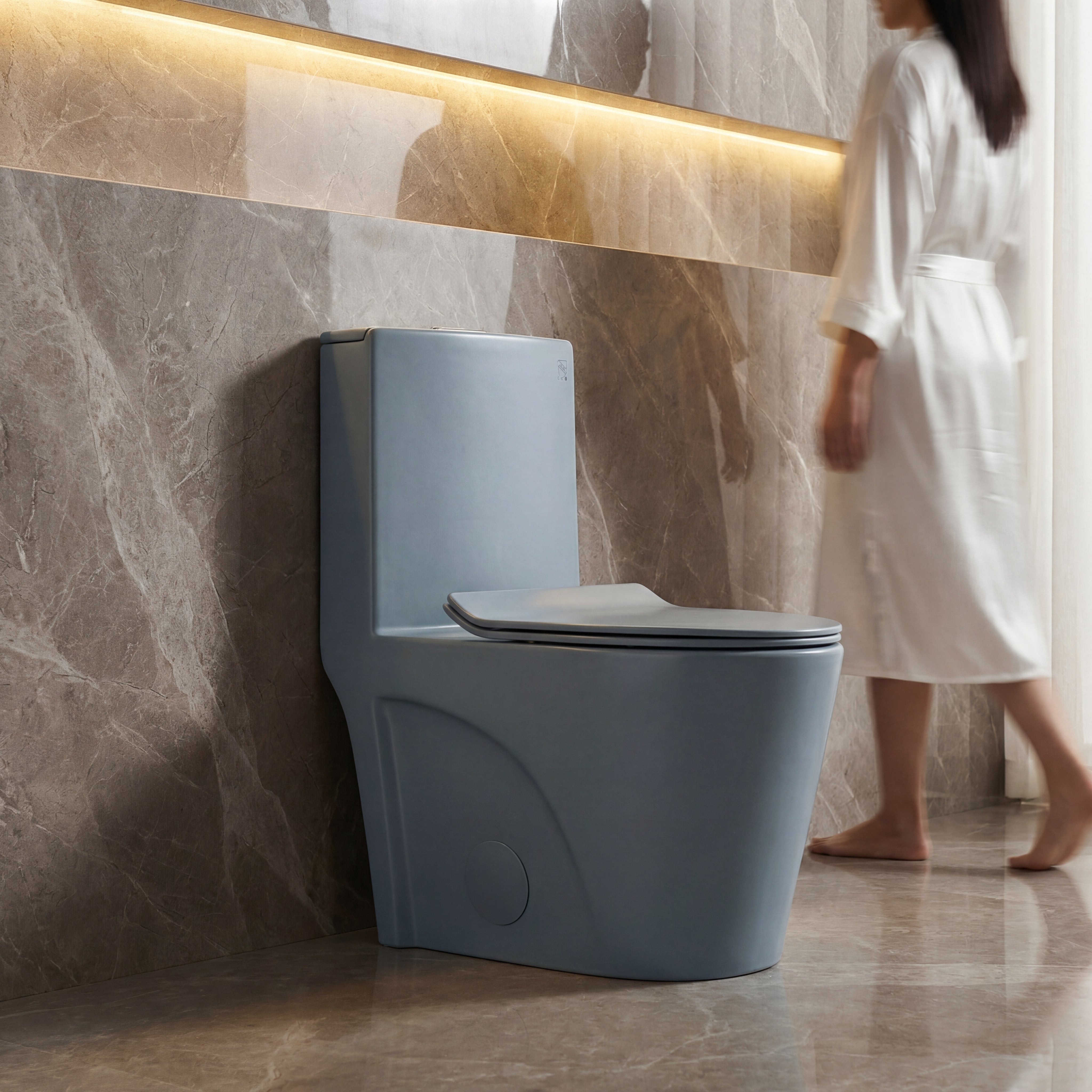 Grey Blue One-Piece Elongated Toilet, Siphonic Dual Flush