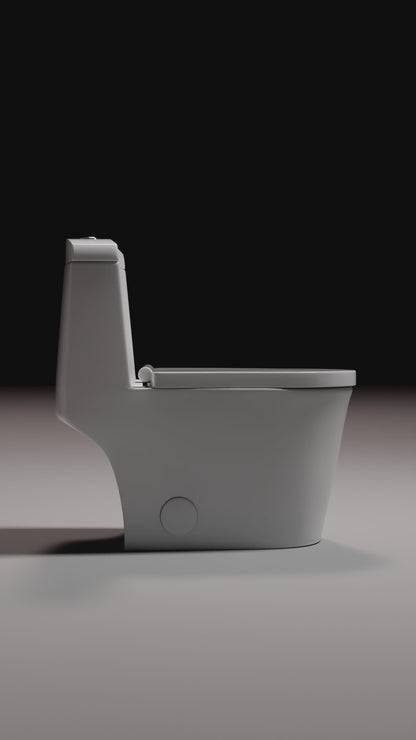 One-Piece Siphonic Toilet – Dual Flush, Soft Close Seat, 12” Rough-in，2187Y