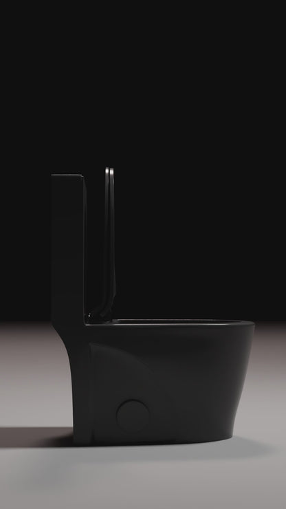 Matte Black Dual-Flush Siphonic One-Piece Toilet, UF Soft Close Seat