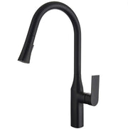 Pull - down Dual Spray Kitchen Faucet - N23134 - FaucetMatte Black NeoNova Decor