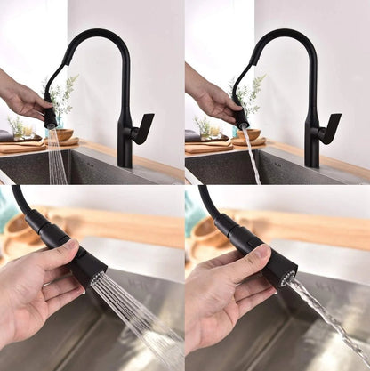 Pull - down Dual Spray Kitchen Faucet - N23134 - FaucetPolished Chrome NeoNova Decor