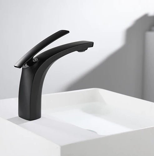 Single Hole Bathroom Faucet - N11170 - FaucetPolished Chrome NeoNova Decor