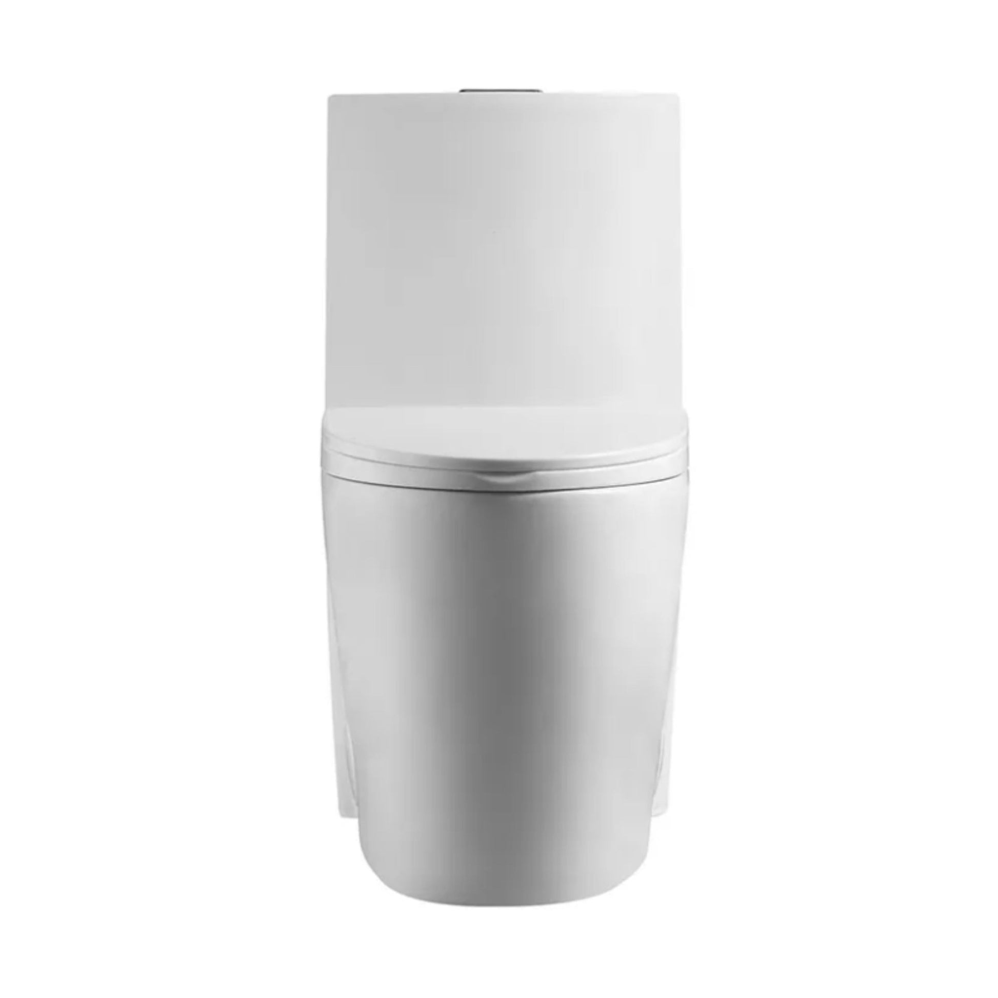 Siphonic One - Piece Toilet with Dual - Flush, North American Standard - toilet NeoNova Decor